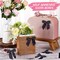 60 Pcs Satin Ribbon Bows 3 x 3 Inches Self Adhesive Satin Bows for Gift Wrapping Premade Ribbon Bows with Double Sided Tape for Crafts